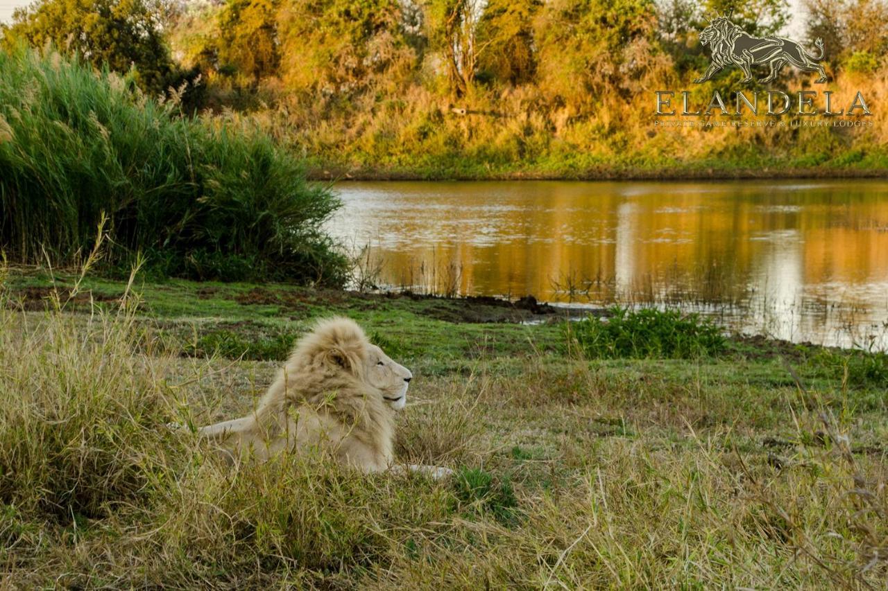 הודספרויט Elandela Private Game Reserve And Luxury Lodge מראה חיצוני תמונה