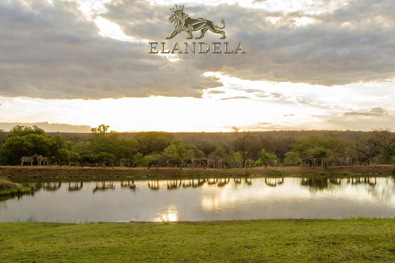 הודספרויט Elandela Private Game Reserve And Luxury Lodge מראה חיצוני תמונה